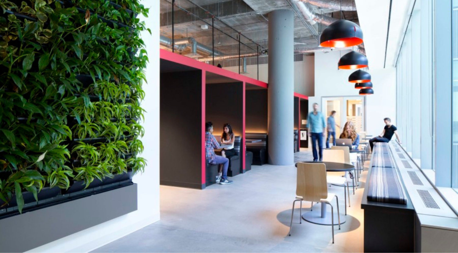 cafe area with living green wall and booth seating