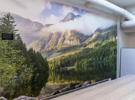 Lifelightlens Installation – Education Environment